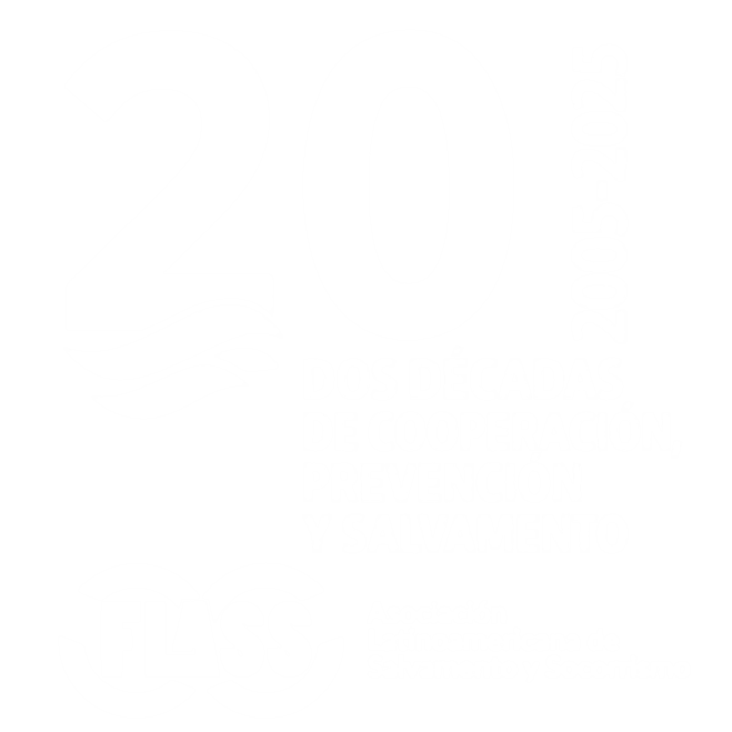FLASS-LOGO-20-ANIVERSARIO