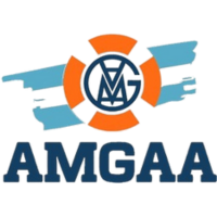 03.-LOGOS FLASS - AMGAA