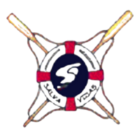 14.-LOGOS FLASS - SALVAVIDAS