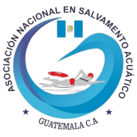 15.-LOGOS FLASS - AESAG