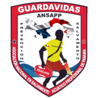 16.-LOGOS FLASS - ANSAPP