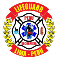 18.-LOGOS FLASS - LLPS